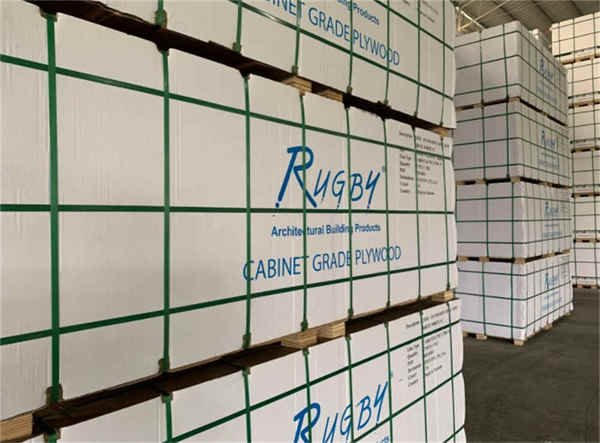 Hot Sales Plastic Clear PP Packaging Strap